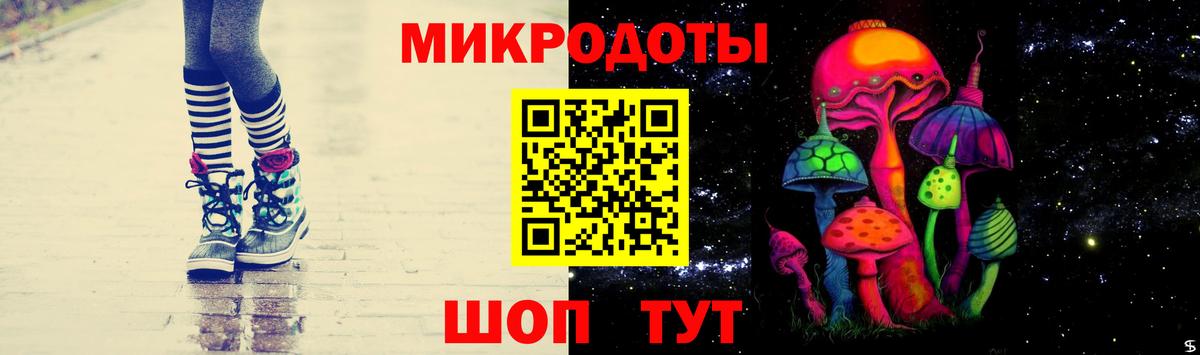 Псилоцибиновые грибы Psilocybe Ханты-Мансийск